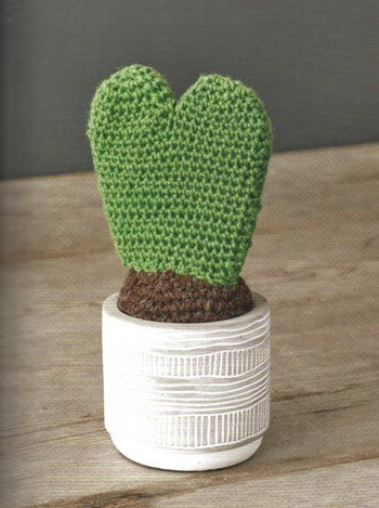 Sweetheart plant