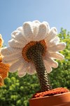 Haakpatroon zonnebloem en madelief in pot van andere kant