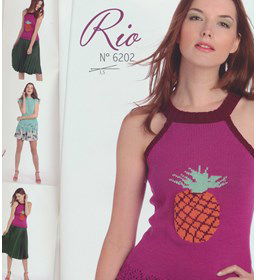 Top gemaakt van Lammy Yarns Rio