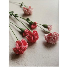 Haakpatroon Sascha Blase bloemen, anjer ....
