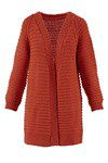 Breipatroon Damesvest