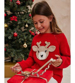 Kindertrui Anaelle met rendier gemaakt van Handwerk accesoires