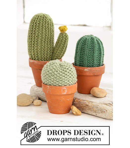 Breipatroon Cactus
