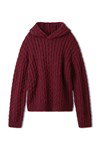 Breipatroon herentrui met hoodie van andere kant