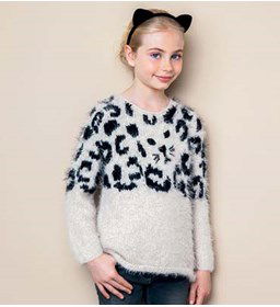 Trui gemaakt van Phildar Phil Beaugency