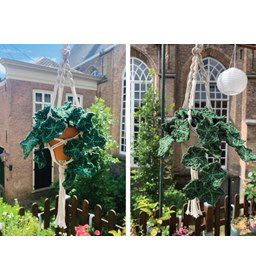 Klimop plant gemaakt van Decoratie en miniaturen