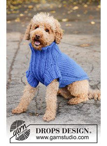 Hondentrui Blue Shadow