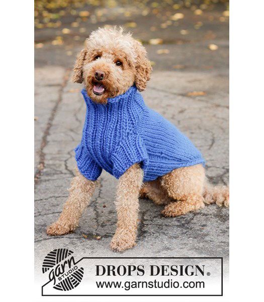 Breipatroon Hondentrui Blue Shadow