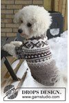 Breipatroon Honden trui met Noors patroon van andere kant