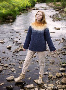 Damestrui Ljosaskipti