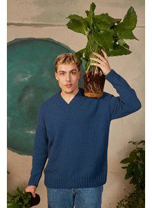 Herentrui met brede V-hals