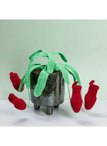 bekerplant