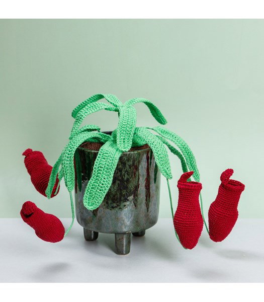 Haakpatroon bekerplant