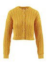 Breipatroon Vest