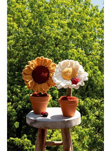zonnebloem en madelief in pot
