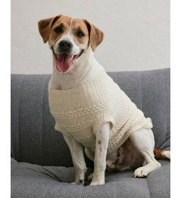 Hondenjasje gemaakt van Rondbreinaald nr 4,5