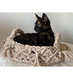 Poezenmand met kwastjes gemaakt van Handwerk accesoires