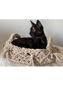 Poezenmand met kwastjes