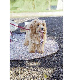 Hondenspeelgoed gemaakt van Lang Yarns Quattro, Quattro Lame en Quattro color