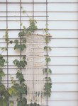 Macrame patroon Wandkleed