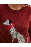 Breipatroon Trui met dalmatier van andere kant