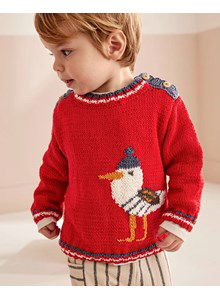 Kindertrui met zeemeeuw