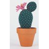 Cactus echinocereus schereri