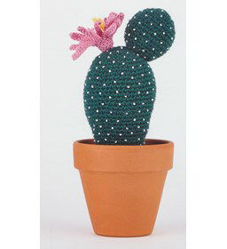 Cactus echinocereus schereri gemaakt van Scheepjes Catona 25 en 10 gram