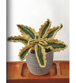 Honderdjarige aloe gemaakt van Lang Yarns Donegal