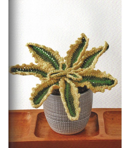 Haakpatroon Honderdjarige aloe