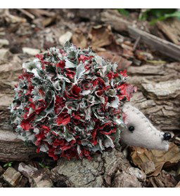 Egel gemaakt van Kralen