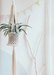Macrame patroon Plantenhanger