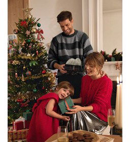 Gestreepte herentrui gemaakt van Phildar Phil Partner 3,5