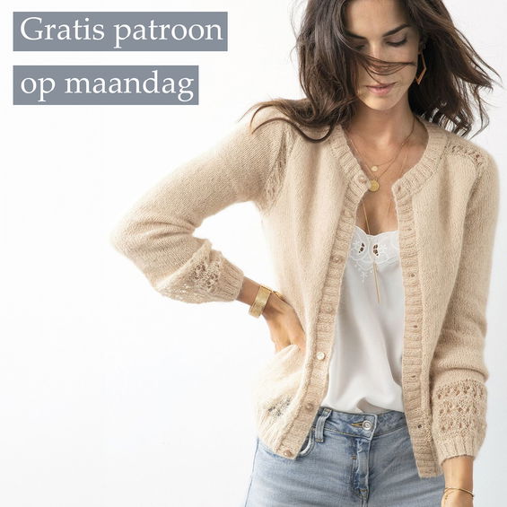 Gratis Breipatroon Vest Louane