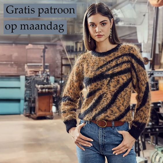 Gratis Breipatroon Trui