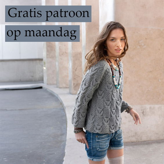 Gratis Breipatroon Trui