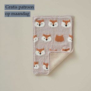 Breipatroon Babydeken