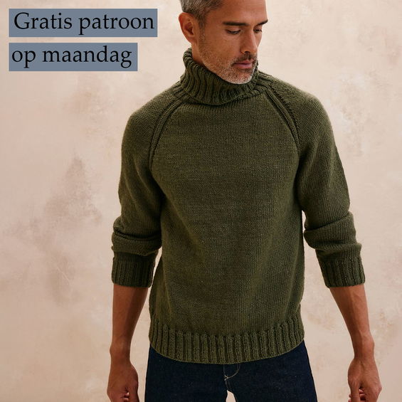 Gratis Breipatroon herentrui met raglan en opstaande col