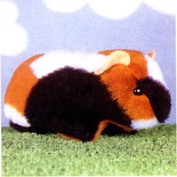 Naaipakket cavia 