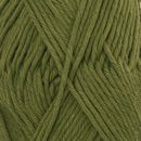 DROPS Paris 43 groen