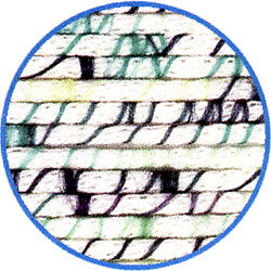 Anchor style Miro 00018 aquarius