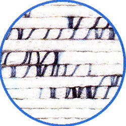 Anchor style Miro 00032 ocean