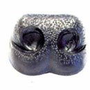 Neus 20 mm zwart recht (5 stuk)