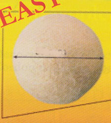 Wolbal 10 mm 20 stuks op=op 