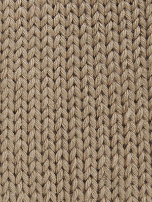 Partner 3,5 0002 camel