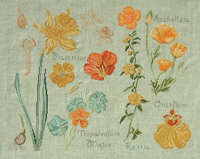 DMC No 2 14561d fleur & botanique - narcisse et capucine op=op 