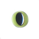 Ogen 10 mm groen kat (5 paar)