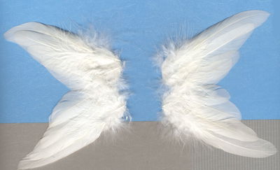 Engelenvleugels 10 a 8 cm 2 stuks 