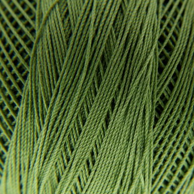 DMC special dentelles no. 80 - 3347 gras groen