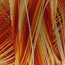 DMC special dentelles no. 80 - 0051 oranje - geel